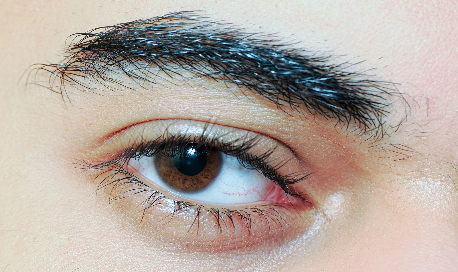 Gros plan sur un sourcil fraîchement pigmenté, cadrage limité à la zone œil-sourcil